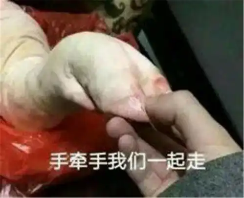 你好,我有场恋爱想找你谈谈文艺部
