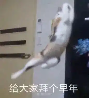 猪年拜年搞笑表情包祝你猪事顺利
