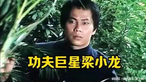 功夫巨星梁小龙,陈真扮演者梁小龙,功夫巨星
