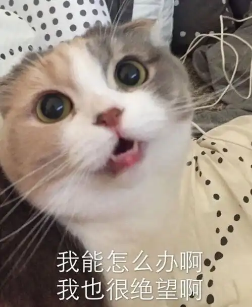 有哪些特别火的化妆品不值得种草
