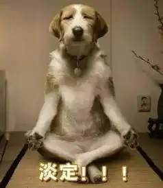 宠物搞笑表情图,看到第10张我就忍不住收藏了