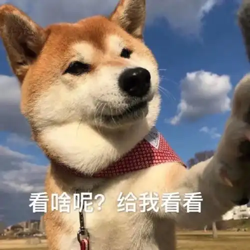 一份非常反人类的表情包慎点
