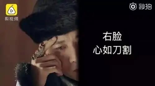 侠客聂远
