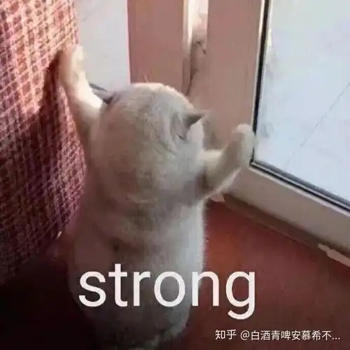 巨蟹男和双鱼女在一起怎么样
