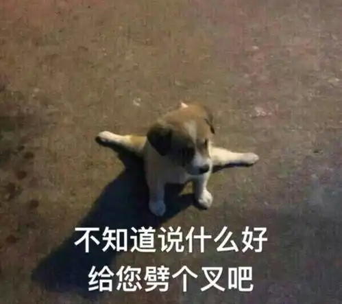 体测奔跑吧,树达人
