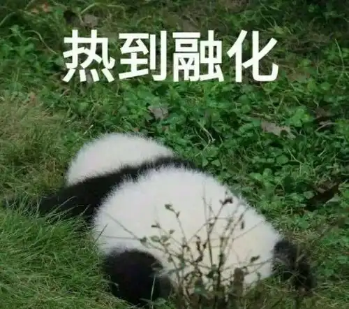 高温雷雨双重暴击广州热热热热将持续到
