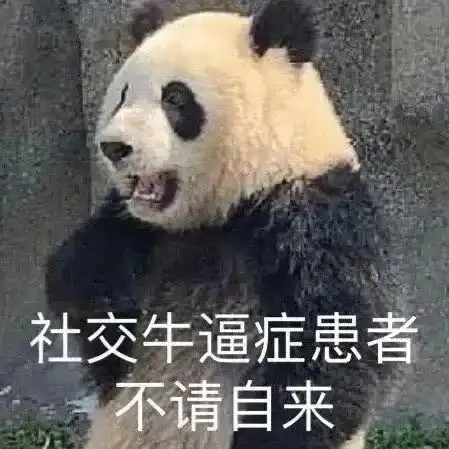 超可爱的熊猫表情包
