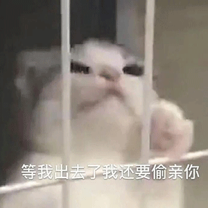 表情包你的绿帽子掉了
