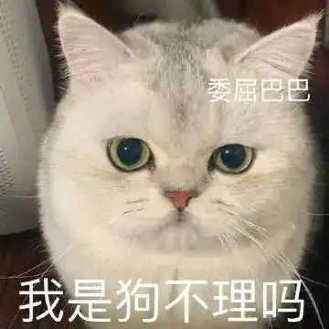 再添十碗饭丨第809期喵表情包
