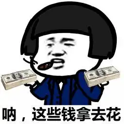 你好,我来自山东哇那你会开挖掘机吗
