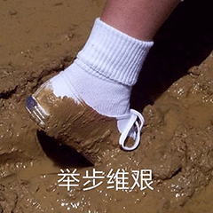 微信搞笑表情包这是小猫咪能看的吗
