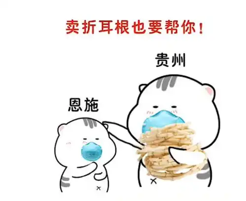 这组表情包暖哭了贵州喊话恩施别怕,挖折耳根卖都要帮你
