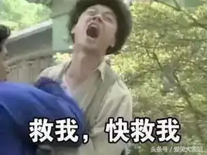 遇到这种王者荣耀神坑队友,有想摔手机的冲动,感同身受了吗
