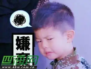 爸爸4安吉嫌弃脸表情包合集盘下载安吉剪辑cut精华版

