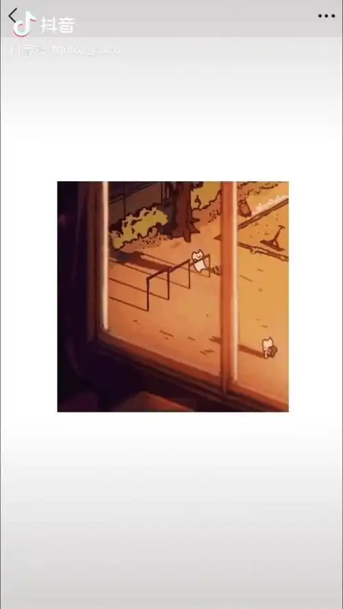 抖音猫咪摇来摇去的表情包
