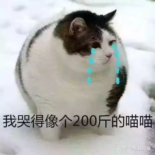 玉的等级如何划分
