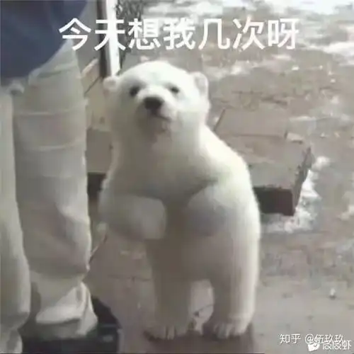 北极熊真熊表情包大噶们还有没有哇呜呜呜我好想要啊呜呜呜
