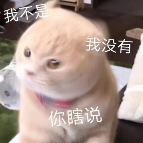 宠物表情包做自己的舔狗