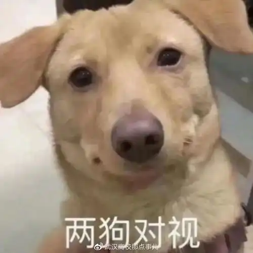 大学生万能请假理由,辅导员听了都落泪
