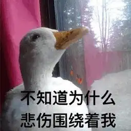 注意深圳这批次卤鸭腿被市场监管局盯上了
