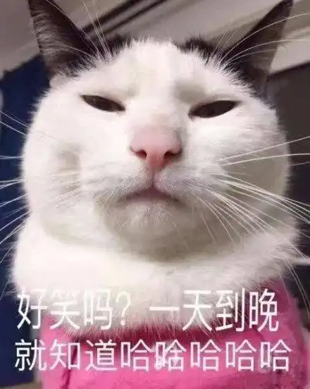 好笑吗一天到晚就知道哈哈哈表情包
