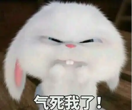 吴宣仪替小舞接胡萝卜代打,兔子不喜欢吃胡萝卜
