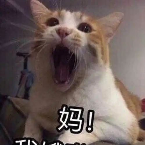 肖战小面包又来害我了上热搜了到底是怎么回事
