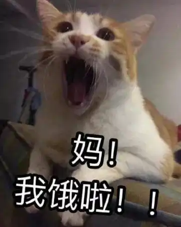 孩子,来签个不要喊妈条约吧
