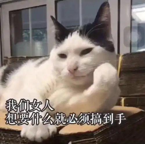 宠物表情包我要闹了