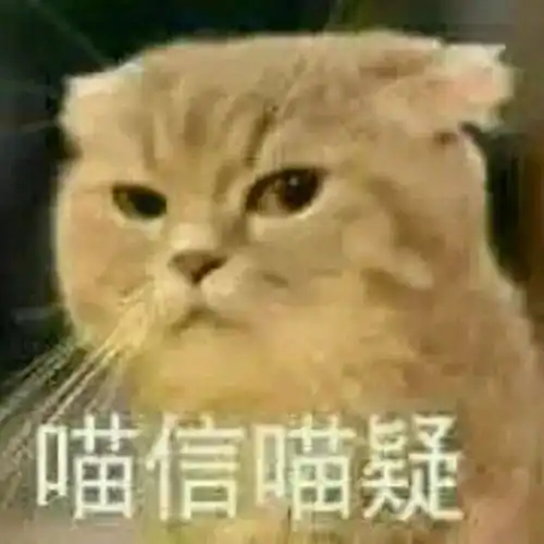 小破楼围墙上爬满人,明星也会光临居民吐槽
