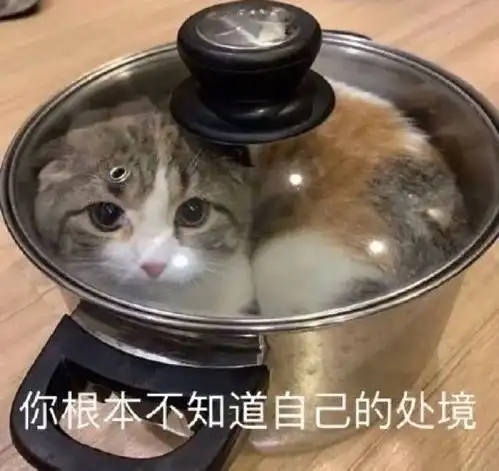热门表情包大合集丨出来玩啊