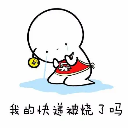 双十一快递一直没到,快递小哥哭着对我说
