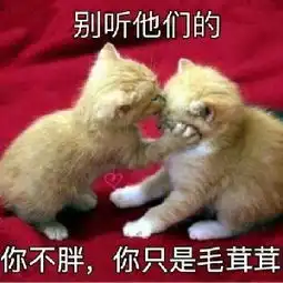 日本变态综艺节目,美女都被玩坏了

