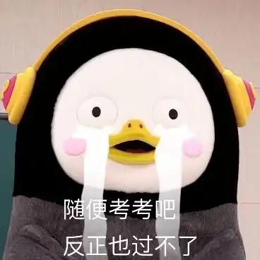期末嘛,不就是一人一笔一晚一奇迹
