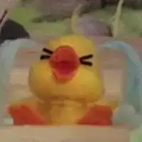 有这种小黄鸭的表情包么,谢谢
