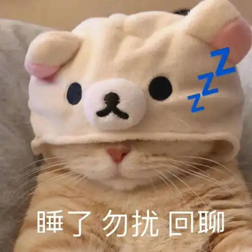 橘猫沙梨表情包
