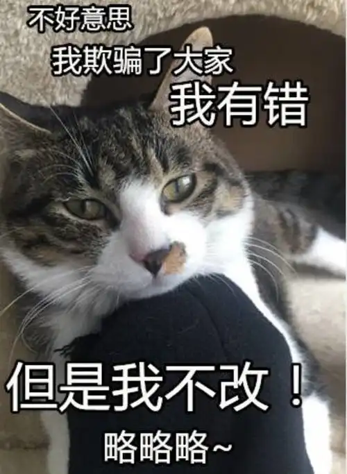 用这些猫咪表情包问爸妈要零花钱,发一张就能要来100块
