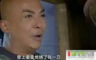 新还珠格格超囧表情精彩汇总第2张图片
