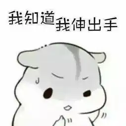 我有海量表情包,走遍天下都不怕
