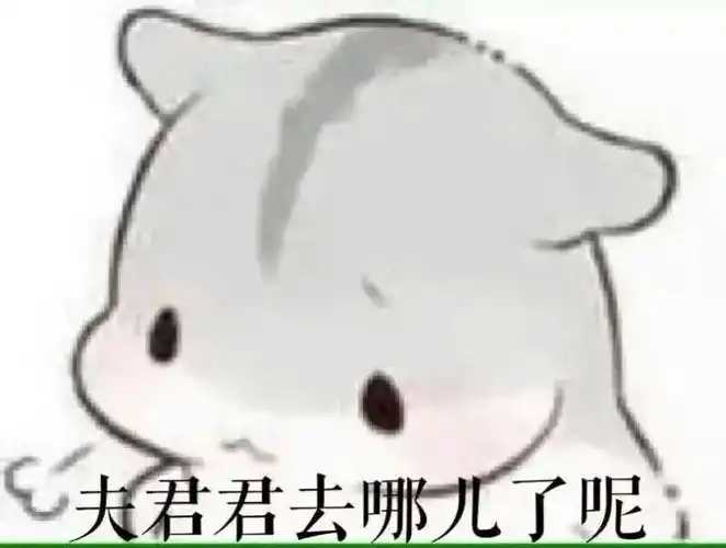 仓鼠夫妻
