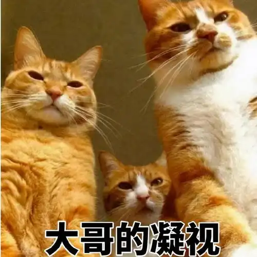表情包在干啥呢出来玩
