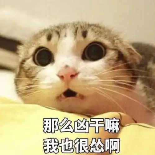 你把耗子放下,我们好好说
