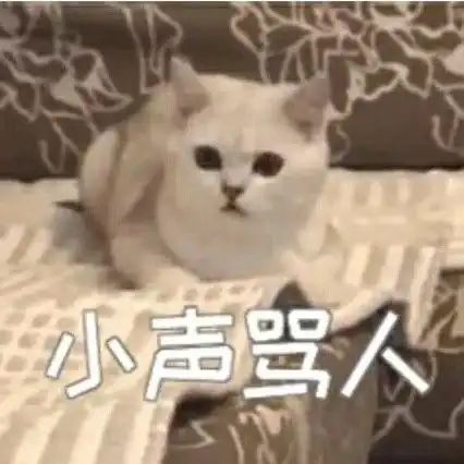 沙雕表情包我小猫咪也绝非善类
