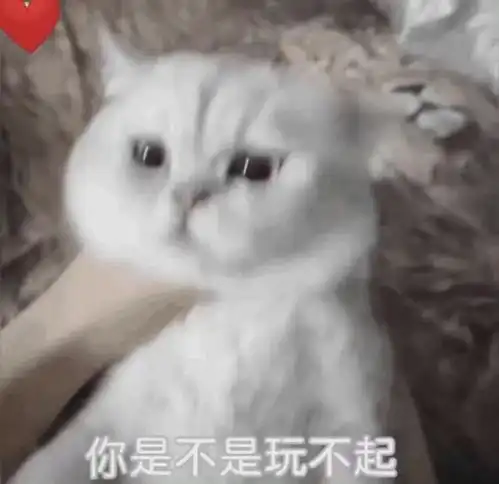 美国马云学马斯克上天,所有人却希望他失败

