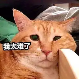 热点丨倒计时今夜错峰出行的双12就要来啦
