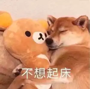 送你一朵小红花票房突破10亿叱咤风云发布周杰伦创作主题曲mv
