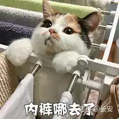 宿舍四人的沙雕日常
