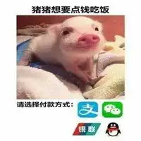 我常常因为贫穷表情包微信头像图片大全
