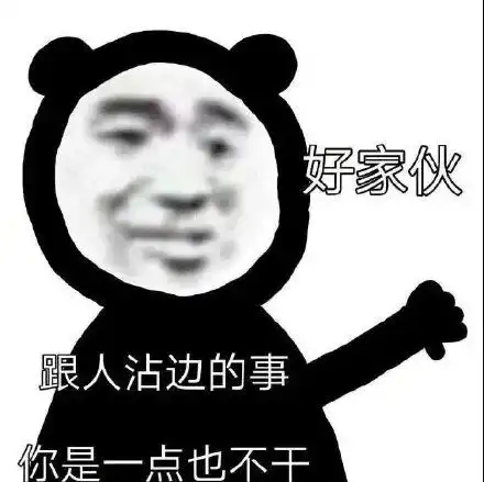 表情包熊猫头行不通的笨蛋
