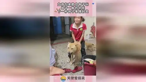 女孩在家欺负狗子玩,狗子一脸的抗拒,下一秒狗子表情好笑
